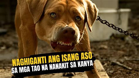 nag pa iyot sa aso|Sa banyo nila ginawa ang masaganang kantotan .